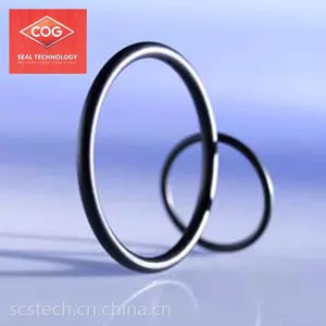 师承供应德国COG密封技术Vi480 O型圈