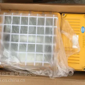 海洋王防爆泛光灯 250W一体式防爆泛光灯