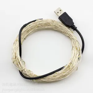 供应装饰灯 LED灯闪灯彩灯串灯 满天星圣诞节日灯户外家居装饰USB5V铜线串