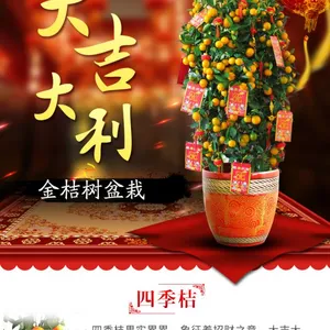 恭喜武汉云陆园艺品牌获得武汉绿植盆栽类***