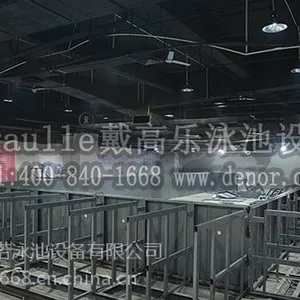 ***的整体游泳池选法国戴高乐