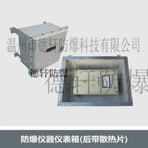 供应山东防爆仪器仪表箱德轩防爆仪表箱、带有散热片