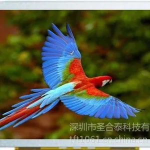 供应台湾原厂直供晶采 AM640480E  10.4\'  TFT真彩液晶显示屏