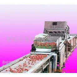 山东潍坊铭威草莓清洗机，水果清洗机价格