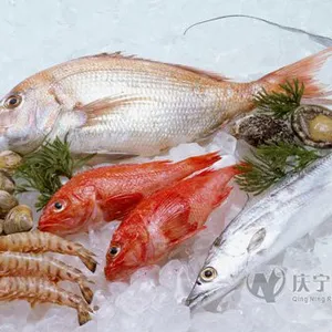 海鲜冷库冻库
