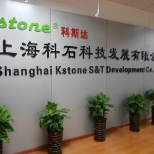 上海科石科技发展有限公司