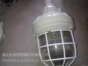 依客思直销防爆照明灯|紧凑型防爆节能灯HRD81-68W