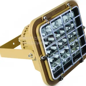 BLD170-LED40W防爆节能灯厂家由井上BLD170-LED60瓦防爆节能灯