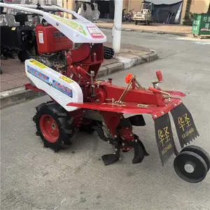 ��п����⹵�� ��ʥС��ũ�ÿ����� С��ũ���ڹ���