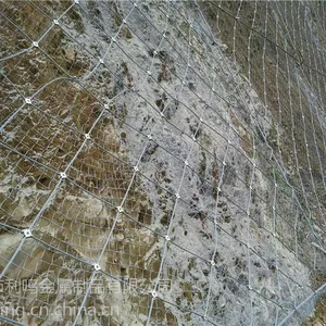 ��ӦSNS���Ա��·����� ��˿�������� ���Է�����