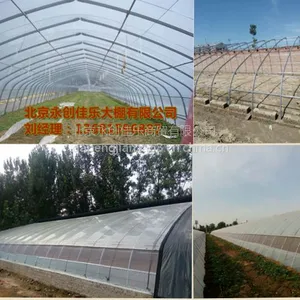 北京双层薄膜大棚怎么更换,通州温室薄膜骨架更换维修报价