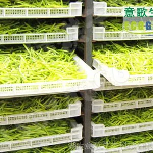 黄花菜烘干机,湖南黄花菜专用烘干机