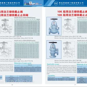 船用法兰铸铁截止止回阀