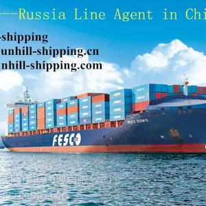 深圳到海参崴vladivostok物流运输俄罗斯航线海运代理