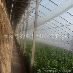 ��Ӧ���͸���ǽ�߲˴��� ��ůʽ�չ�����