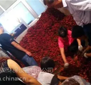 福瑞斯永淦荔枝烘干机(图)_荔枝烘干房_荔枝烘干机