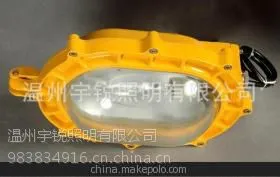 供应BFE8120内场强光防爆应急泛光灯,BFE8120,BFE8120报价 产品参数