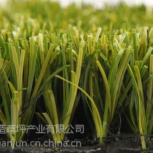 泰山足球场用人造草坪图片