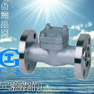 高温高压升降式止回阀H41Y 高压阀门 工洲阀门 丽