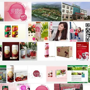 LOGO画册VI设计,品牌策划、产品包装