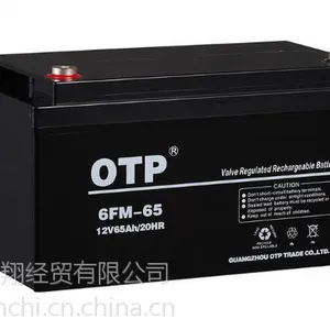 OTP蓄电池 6FM-24