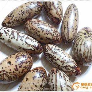 印尼辣木籽进口清关代理