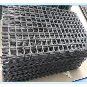 专业供应仁光1*2米低碳钢丝建筑网片