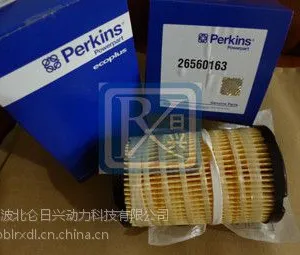 perkins����˹���ͷ��������--1000w������