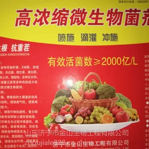 长期供应金山生物原菌液