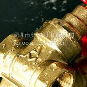 ��բ·������