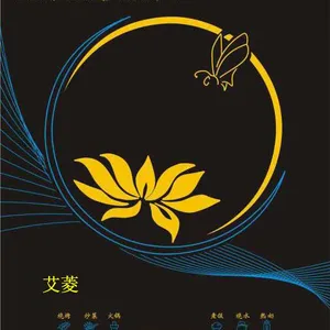 厂家直销艾菱2200W整版触摸电磁炉 ***超薄机身电池炉家用