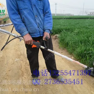 �Ӳݿ���������ݻ� ������ʳ�ո�� ����������