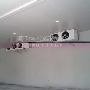 福建果蔬冷藏冷库