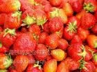 食品级香精香料草莓香精