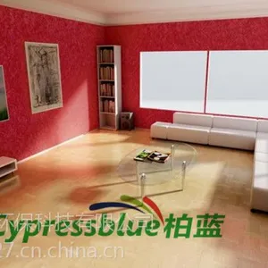 柏蓝墙衣带您来新墙面装饰潮流