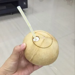 志顺激光直销泰国椰子椰皇椰壳激光切割机,可切半穿装拉盖