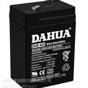 大华电池DHB645 6V4.5AH蓄电池
