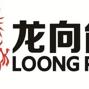 德州龙向新能源科技有限公司