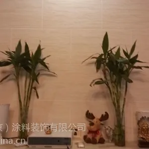 别墅室内仿洞石艺术涂料
