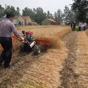 �ո���ո��ɹ�� ũ�������ո��