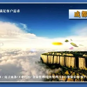 成都定业通软件有限公司