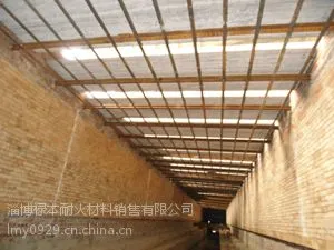 ��Ӧ����Ҥ���ʩ������ �մ���άģ�鱨��