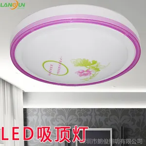 朗俊led灯具直销 家居欧式花瓣灯 客厅卧室led吸顶灯 吸顶灯
