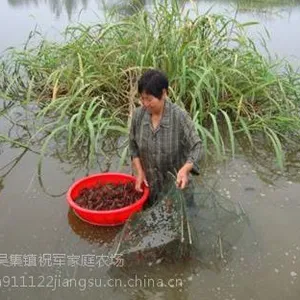 ���ѡ��С��Ϻ����Ϻ��Ͷ��ʱ���������Ϻ�ɻ�***ÿĶ�ɱ�����