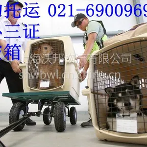 上海至全国各地宠物托运价格查询电话