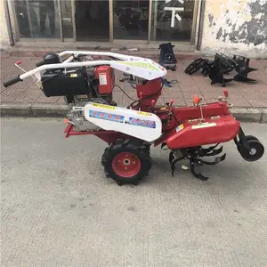 ���߸��������ڹ��� ���������� ��ʥ����ʩ�ʿ�����