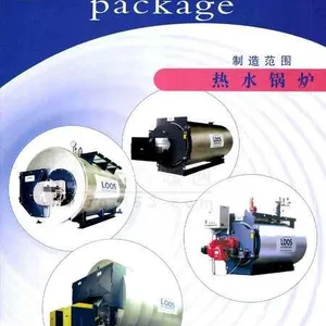 供应LOOS蒸汽/热水/低压热水/双火管锅炉/废气热回收系统