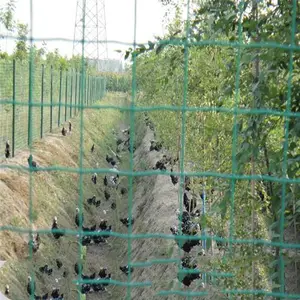 ���� ��ֳΧ����˿�� 6*6���������� ���ܺ�����
