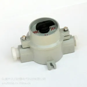 SW-10防爆照明开关直销