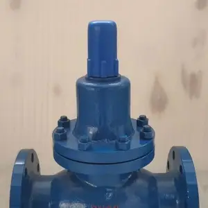 YK43F-100C DN100 ��ӦYK43F/X-25/40�����ȵ�ʽ����ʽ����������ѹ��